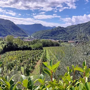  Landhuis Tenuta La Fratta